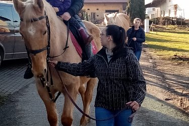 Obrázek č.21